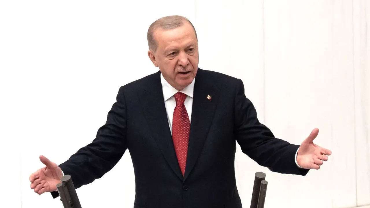 Erdogan: Turkic ties go far beyond borders drawn on maps