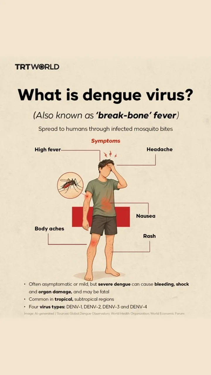 What is dengue virus?