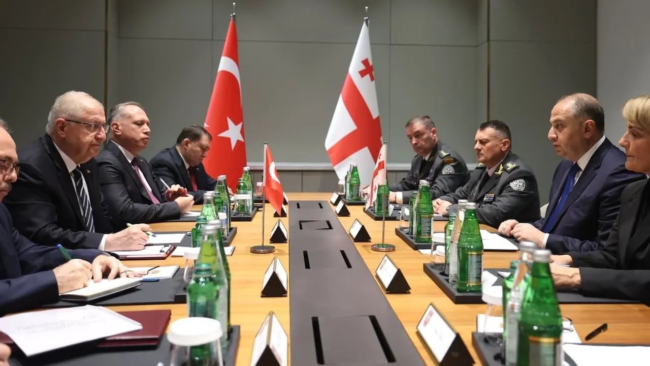Törkiyäneñ milli saqlanu ministrı Gülär üzeneñ Azärbaycan häm Gruziya wazıyfadaşları belän oçraştı
