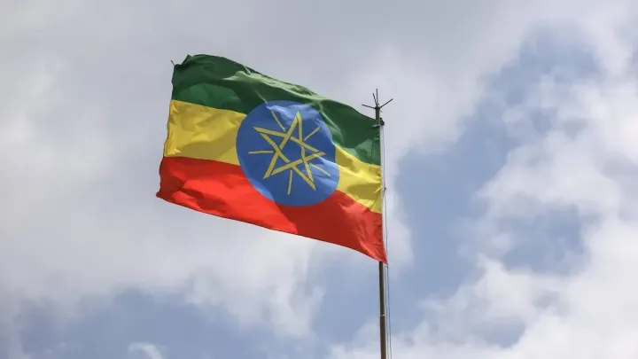 TPLF troops in northern Ethiopia's Tigray withdraw from regional capital