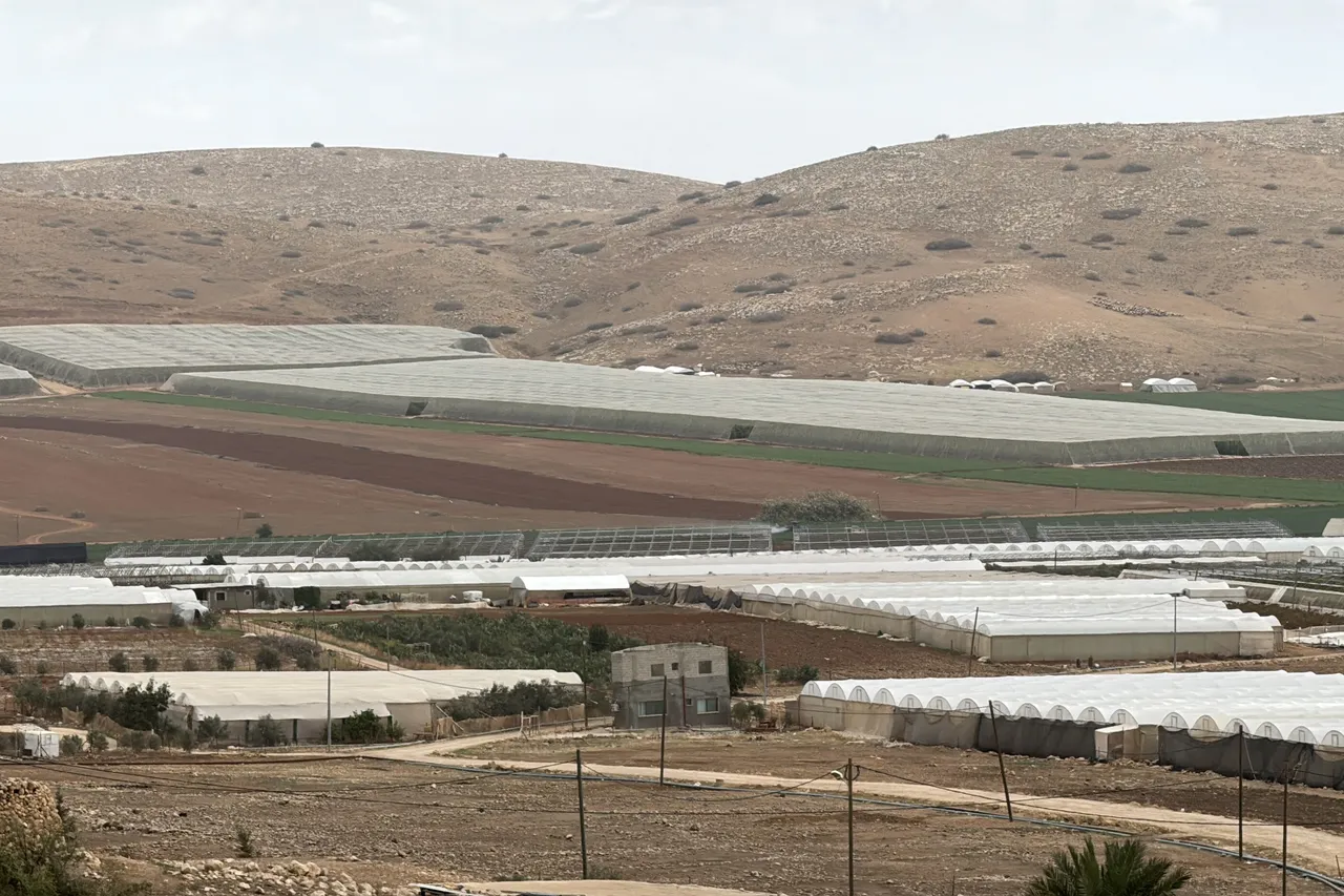 الأونروا تعلن عن مستويات قياسية للعنف الإسرائيلي بالضفة وتصاعد الاستيطان والاعتقالات وهدم المنازل