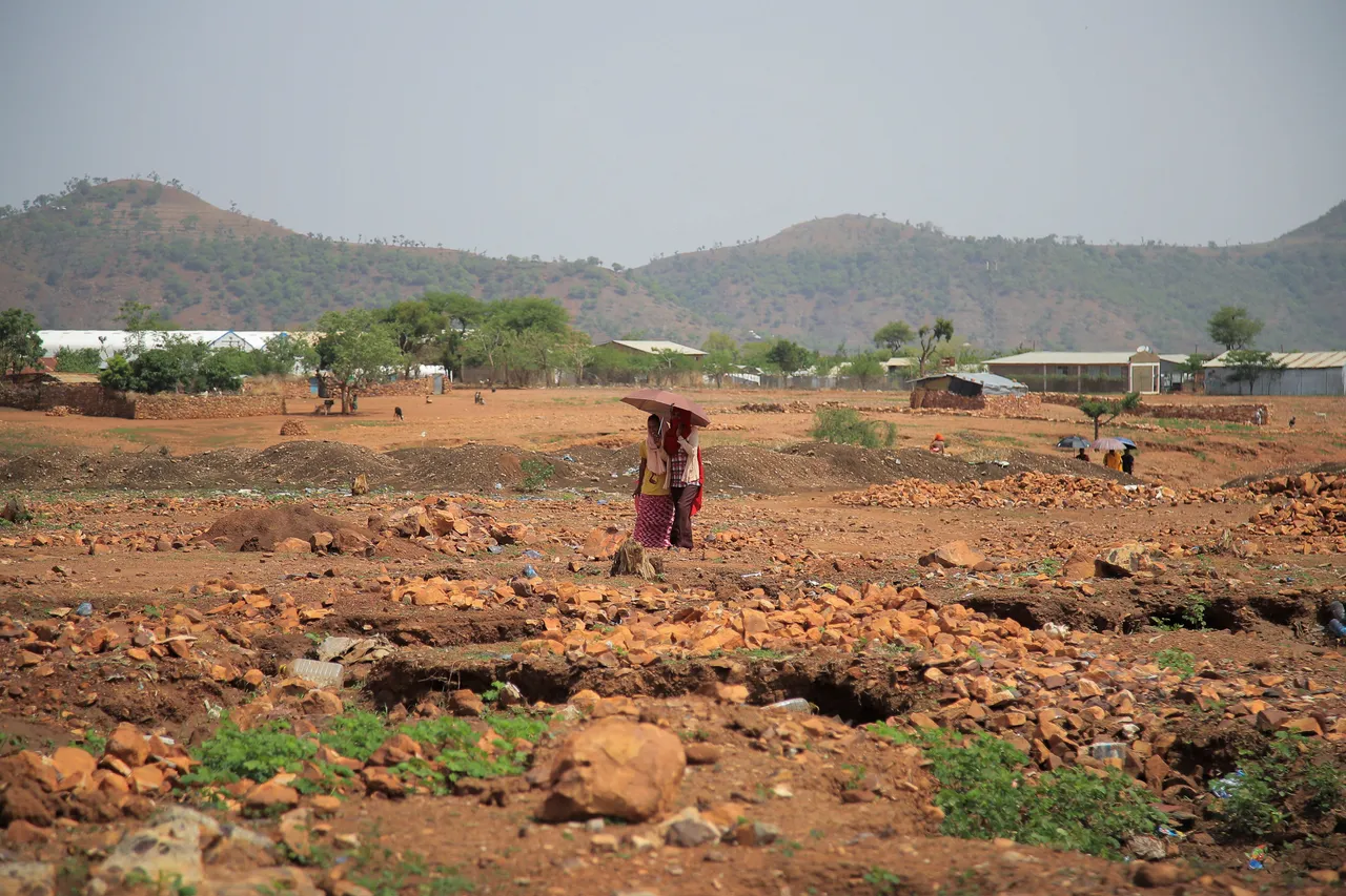 TPLF welcomes calls for dialogue amid violence in Ethiopia's Tigray region