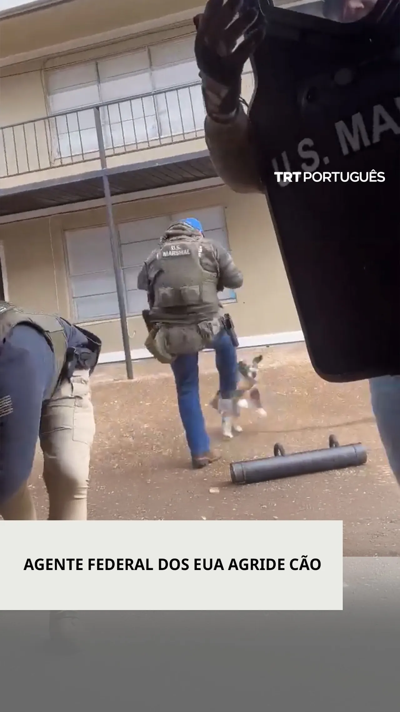 Agente federal dos EUA pontapeia um cão durante operação de detenção em Memphis