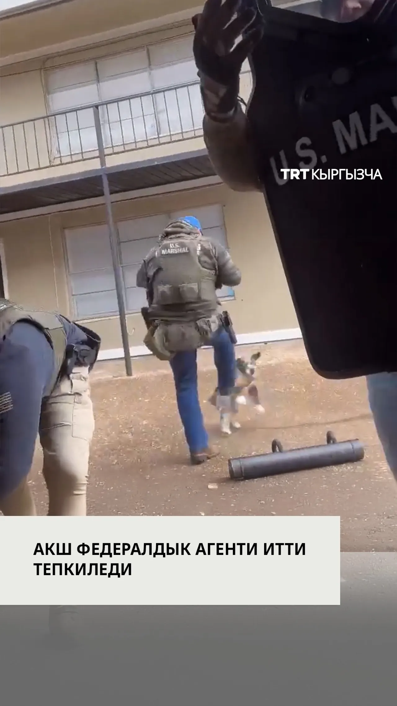 АКШнын федералдык агенти Мемфистеги камакка алуу операциясы учурунда итти тепкиледи