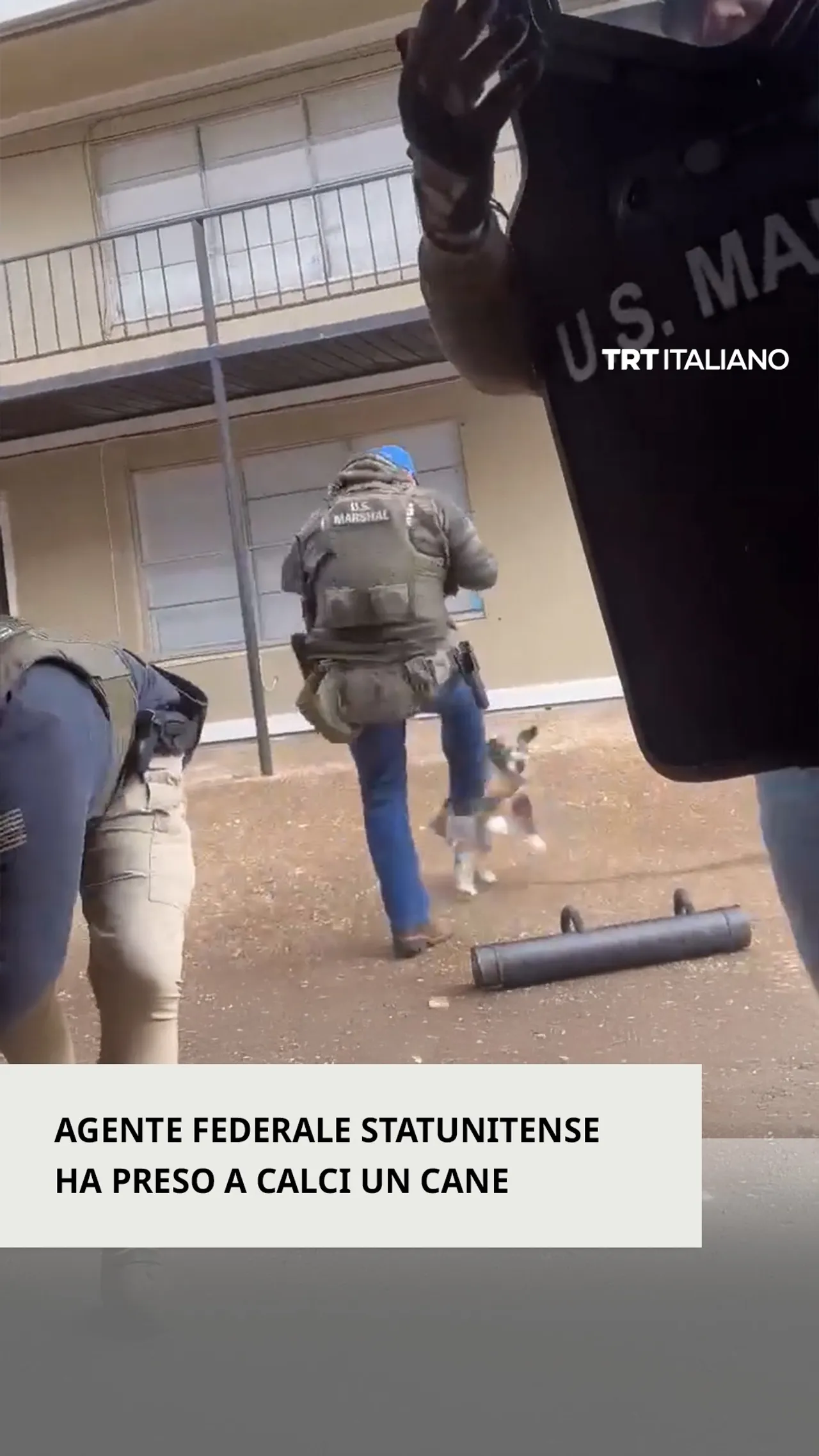 Agente federale statunitense prende a calci un cane