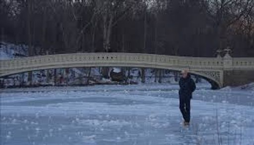 Të paktën 18 vdekje të lidhura me të ftohtin në Nju Jork