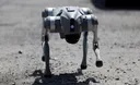 Robot anjing akan bantu polisi Meksiko selama Piala Dunia 2026