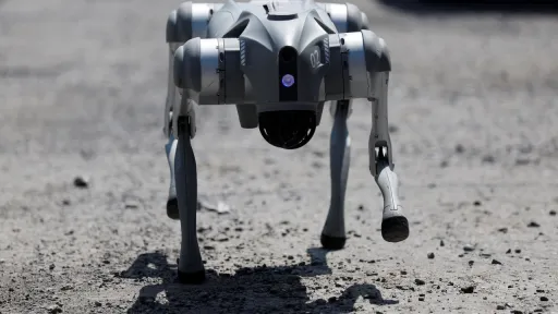 Ռոբոտ շները կաջակցեն Մեքսիկայի ոստիկանությանը 2026 թվականի Աշխարհի գավաթի խաղարկության ժամանակ