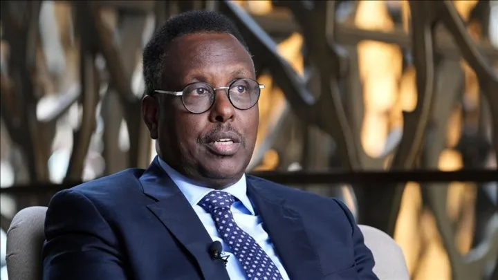 وزیر دادگستری سومالی: ترکیه شریک قابل اعتمادی است که به ثبات در شاخ آفریقا کمک می‌کند