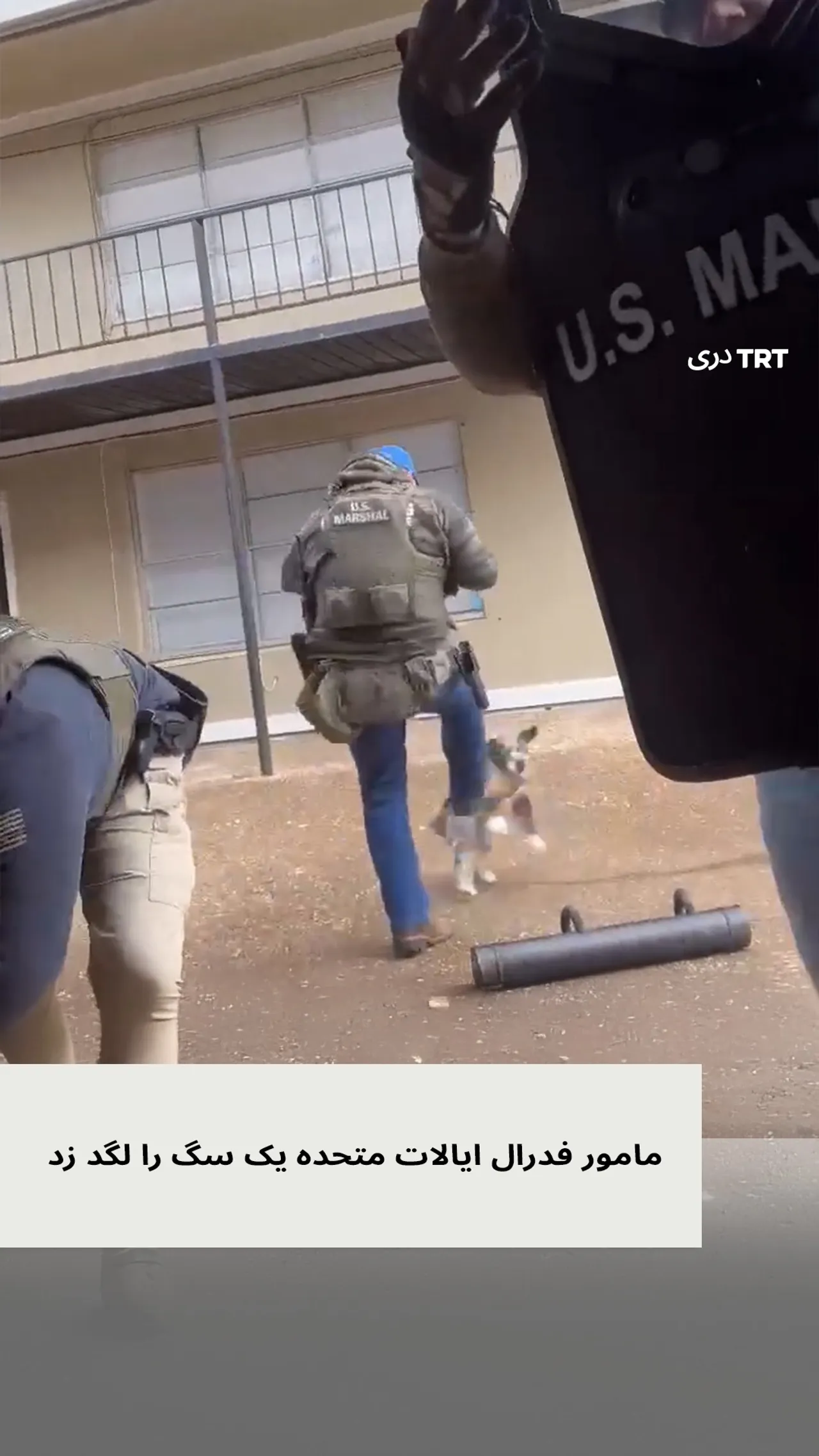 مامور فدرال امریکا در جریان یک عملیات دستگیری در ممفیس سگ را لگد زد