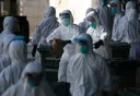 Seoul reports new 'highly pathogenic' bird flu case in duck farm, season tally rises to 43