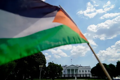 Pro-Palestine candidates gain surprise backing ahead of 2026 US midterm elections