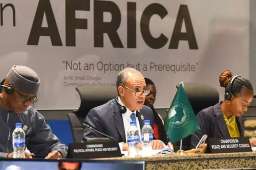 وزير الخارجية المصري: استقرار السودان ضرورة إقليمية ملحة لتجنّب انتشار الفوضى والسلاح