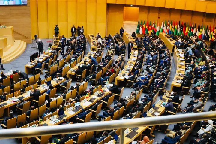 Six countries join African Union Security Council