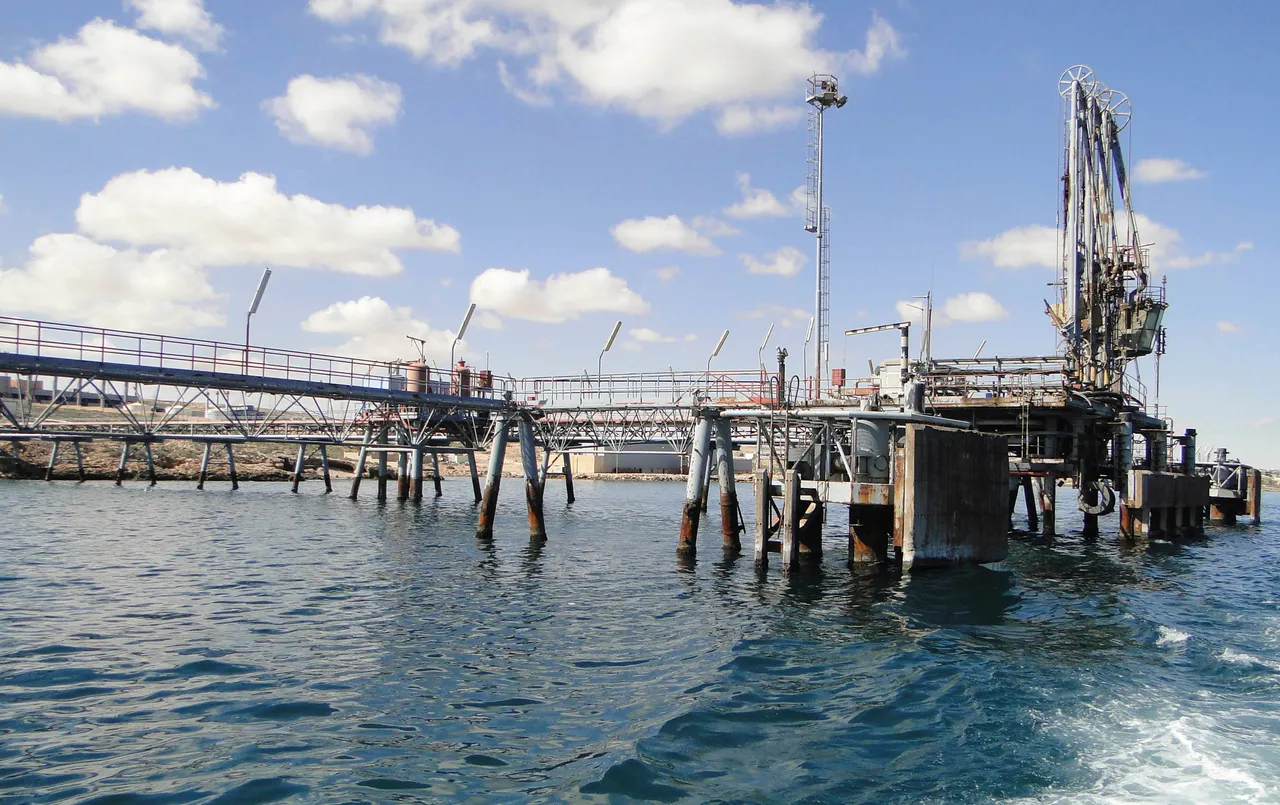 Libya grants first post-Gaddafi foreign oil licences