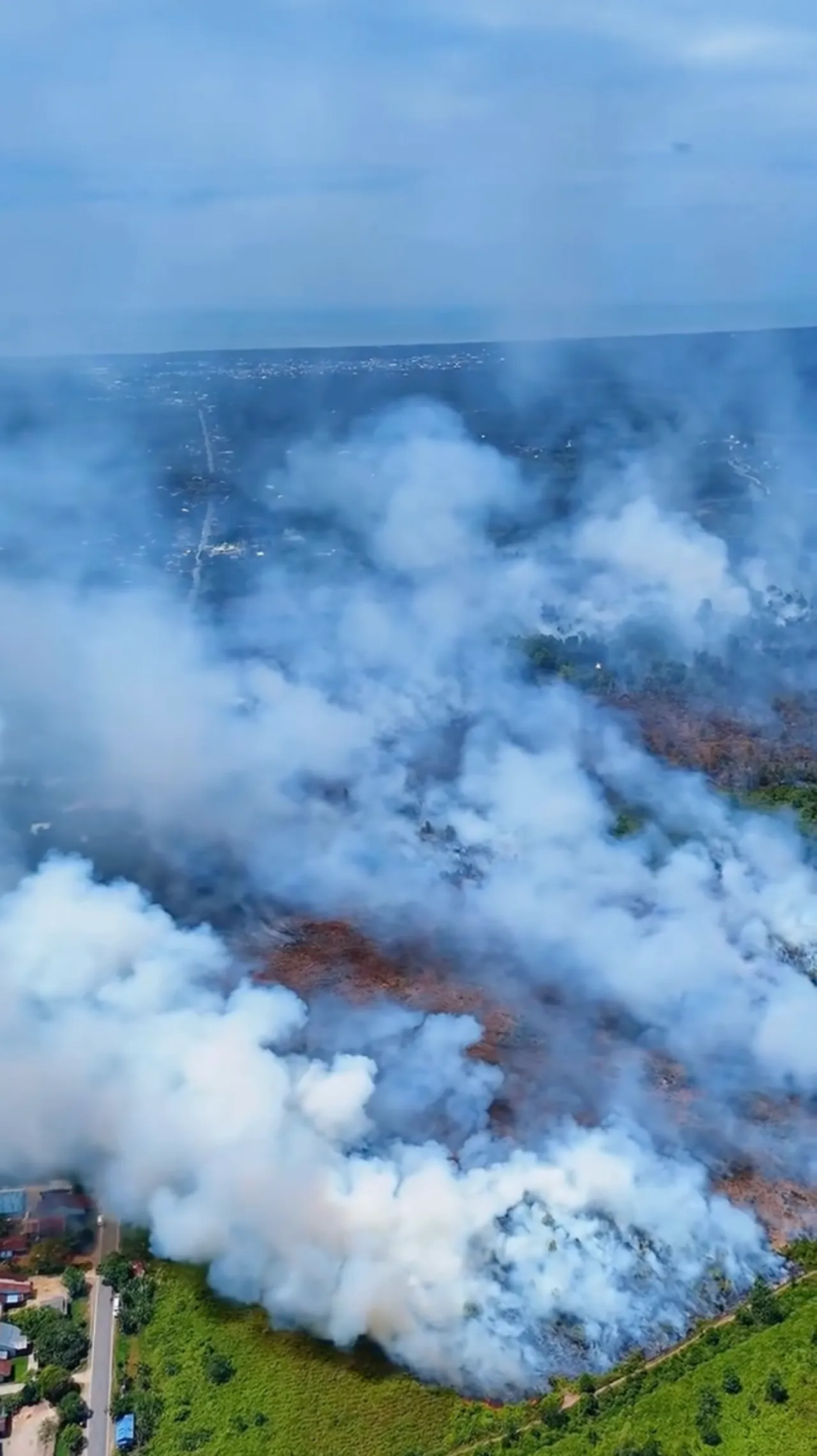 Ratusan hektare hutan dan lahan terbakar di Kalimantan Barat sejak awal tahun 2026