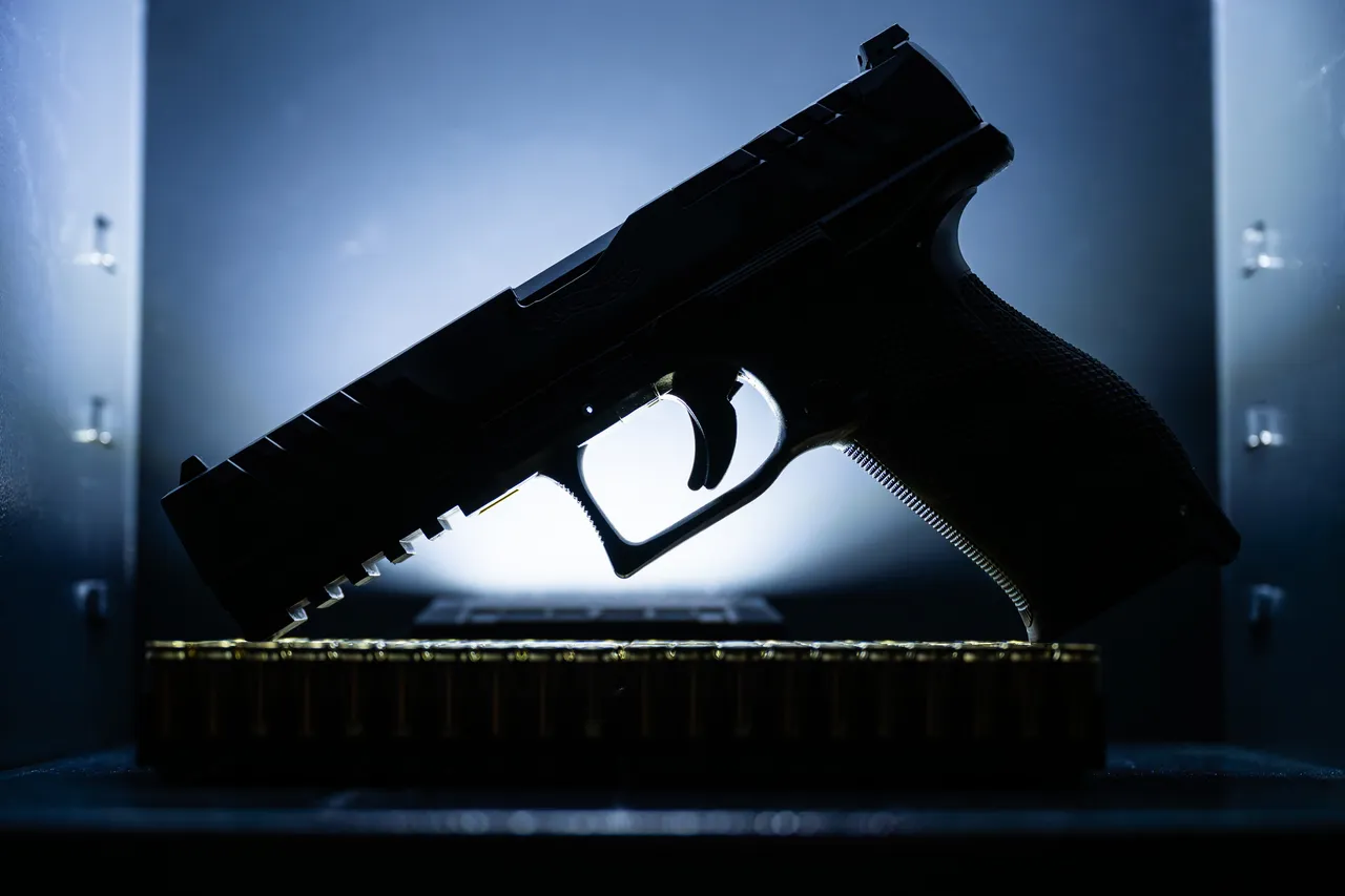 Kriminelle am Werk? Mehr als 47.000 Waffen gelten als verschwunden