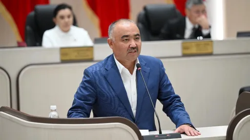 Спикер парламента Кыргызстана сложил полномочия