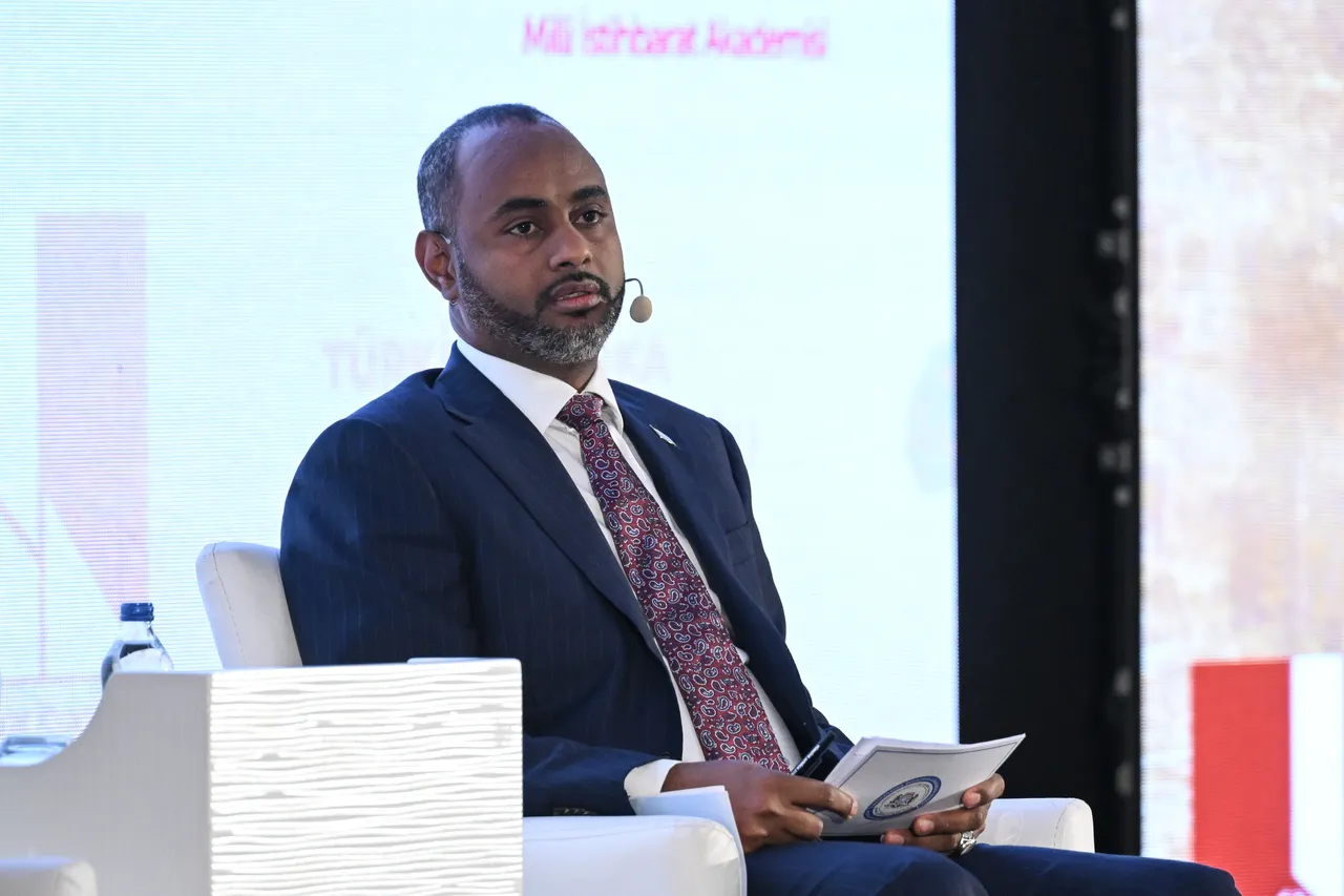 Somali ports minister says direct sea link with Türkiye ‘strategic necessity’