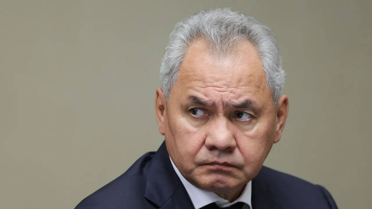 Шойгу предупредил о «ядерных рисках» из-за проекта США в Армении