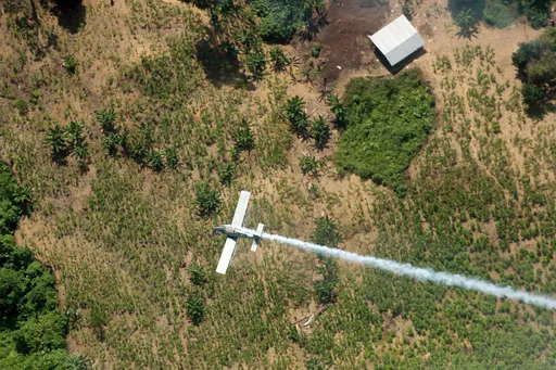 Colombia revives spraying of coca fields with drones amid renewed US cooperation