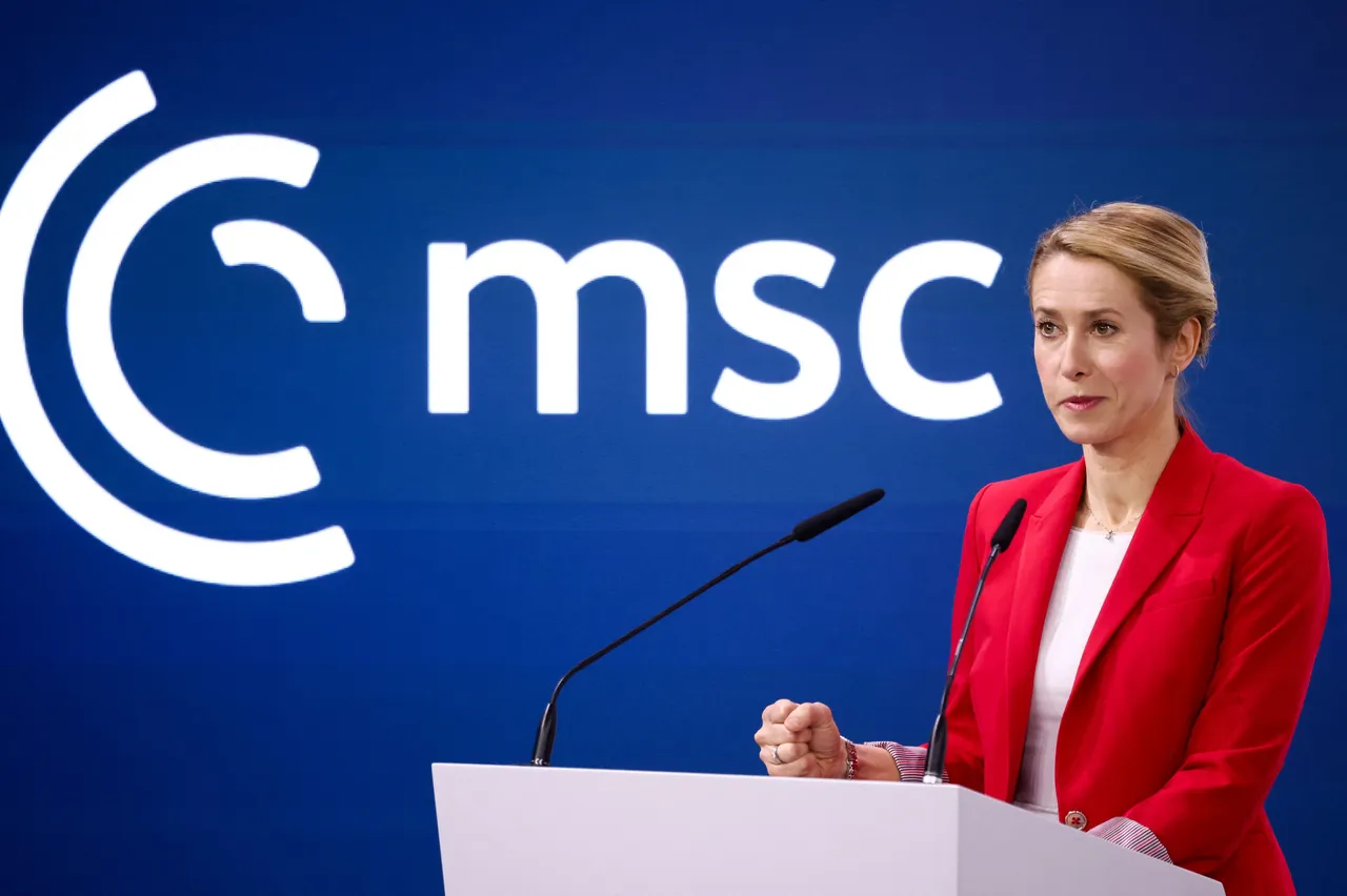 La cheffe de la diplomatie européenne riposte aux critiques américaines contre l’Europe