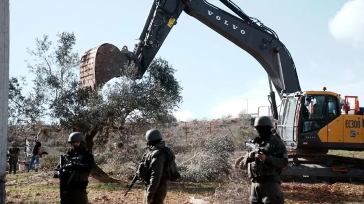 گزارش وزارت کشاورزی فلسطین از تخریب ۷۷۷ درخت در کرانه باختری اشغالی طی یک هفته توسط اسرائیل