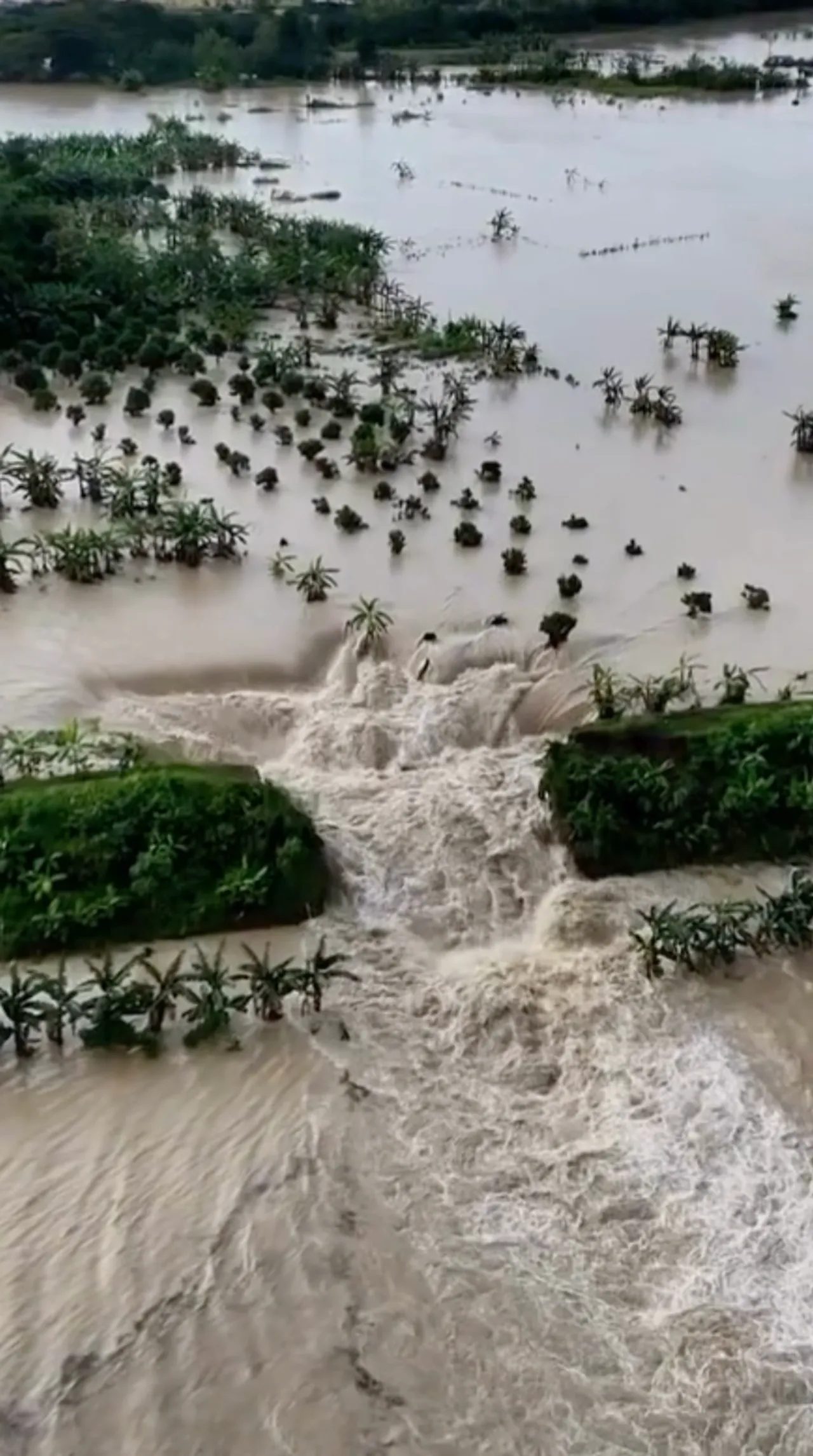 Tanggul Sungai Tuntang jebol, jalur Semarang-Purwodadi terputus