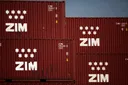 הממשלה מנסה למנוע את מכירת ZIM תמורת 4.2 מיליארד דולר