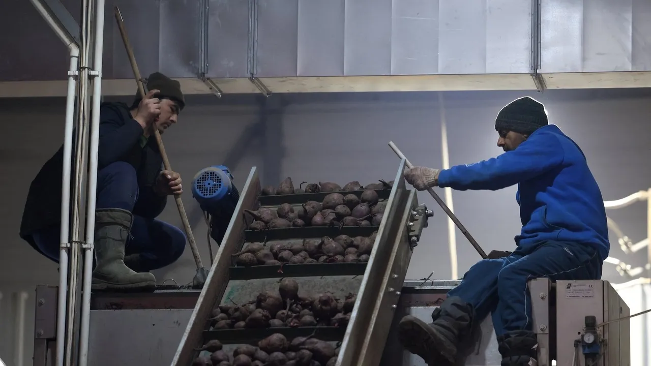 Ростов запретит мигрантам работать продавцами и курьерами