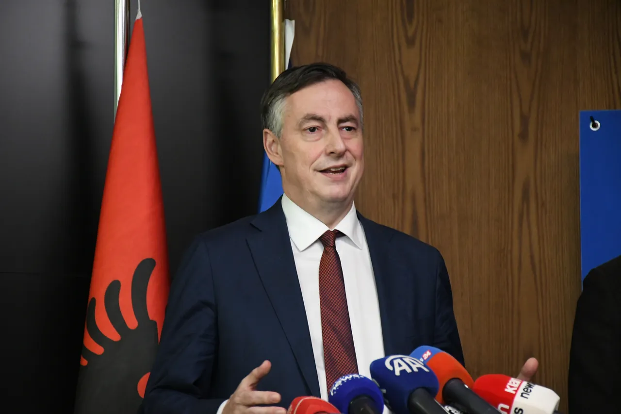 McAllister: E vlerësojmë që integrimi në BE është prioritet për Shqipërinë