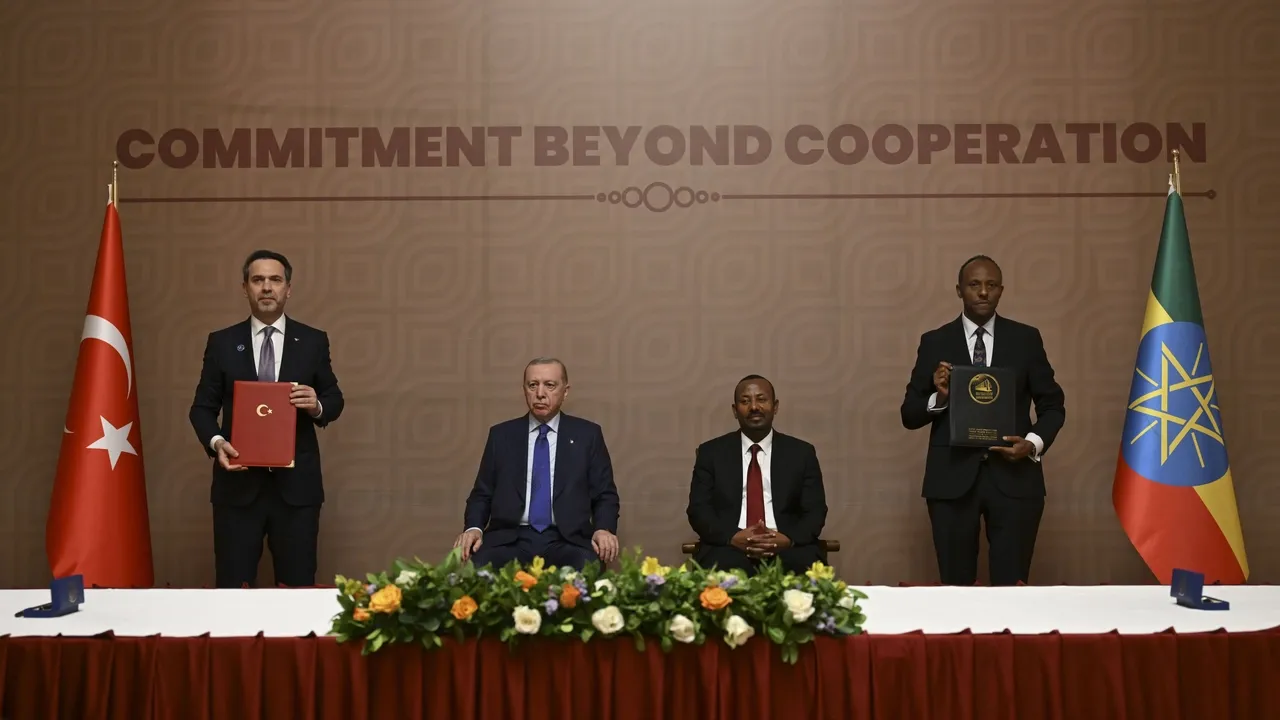 توسعه و اجرای پروژههای مشترک در حوزه برق و انرژیهای تجدیدپذیر میان ترکیه و اتیوپی