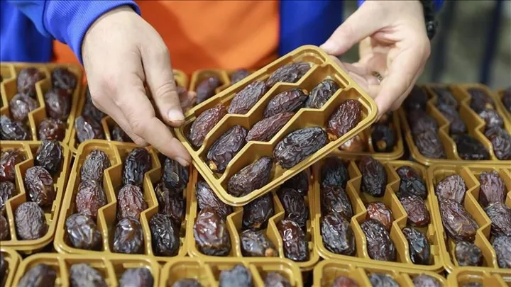 Grupi “EuroPalestine” në Francë bën thirrje për bojkotimin e hurmave nga vendbanimet izraelite