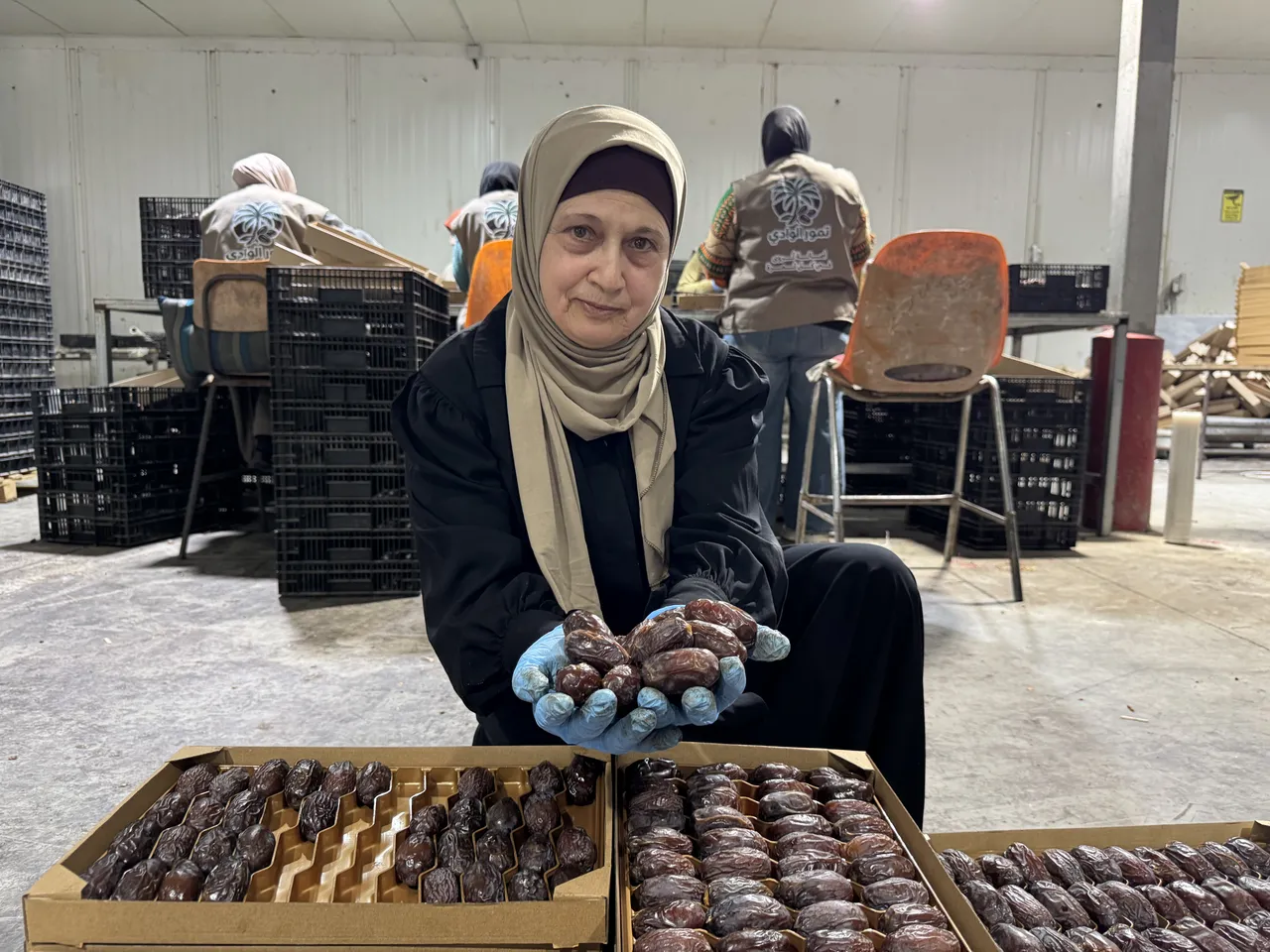 Izraelske hurme se prodaju na evropskom tržištu pod različitim etiketama