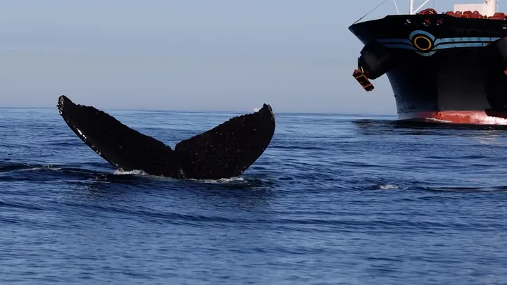 Collision | Storyteller