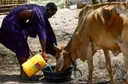 Northern Kenya faces renewed hunger crisis as drought tightens grip