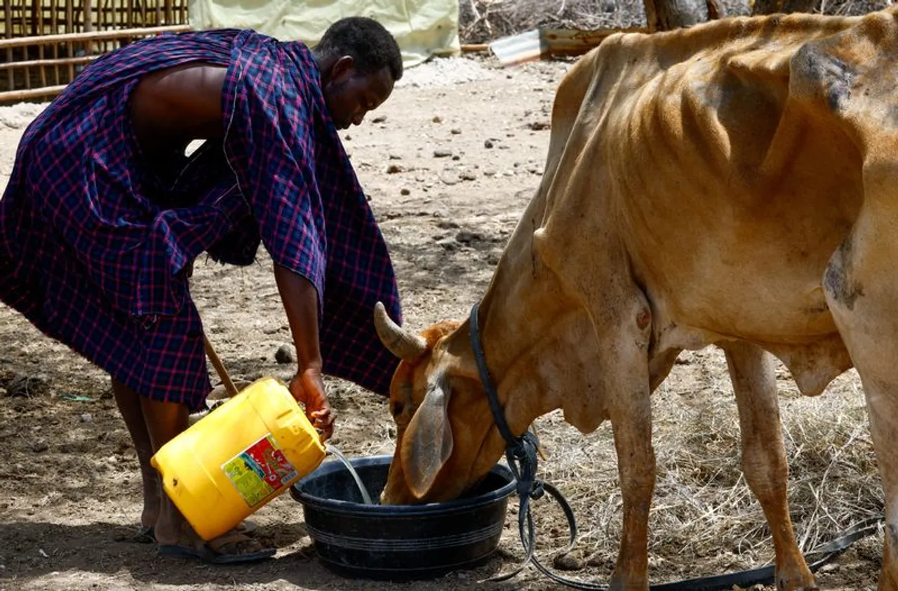 Northern Kenya faces renewed hunger crisis as drought tightens grip