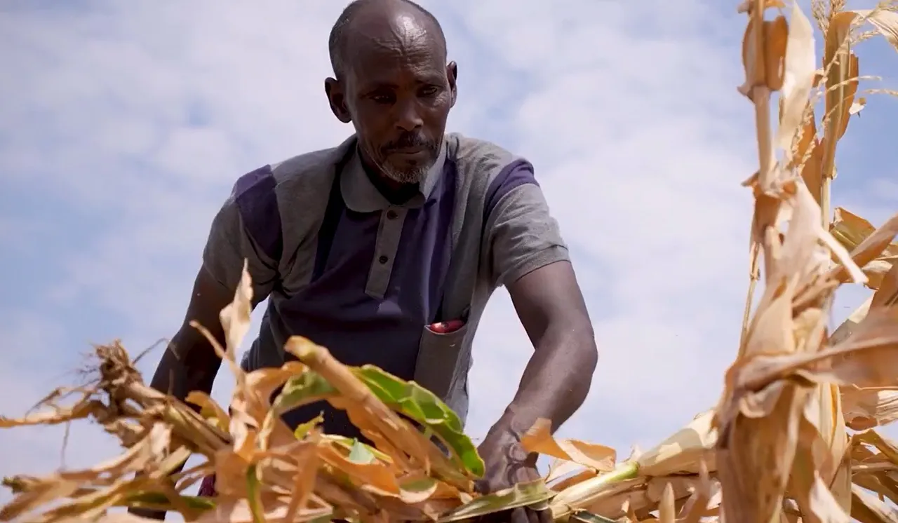 UN warns millions at risk in Somalia as food aid nears end