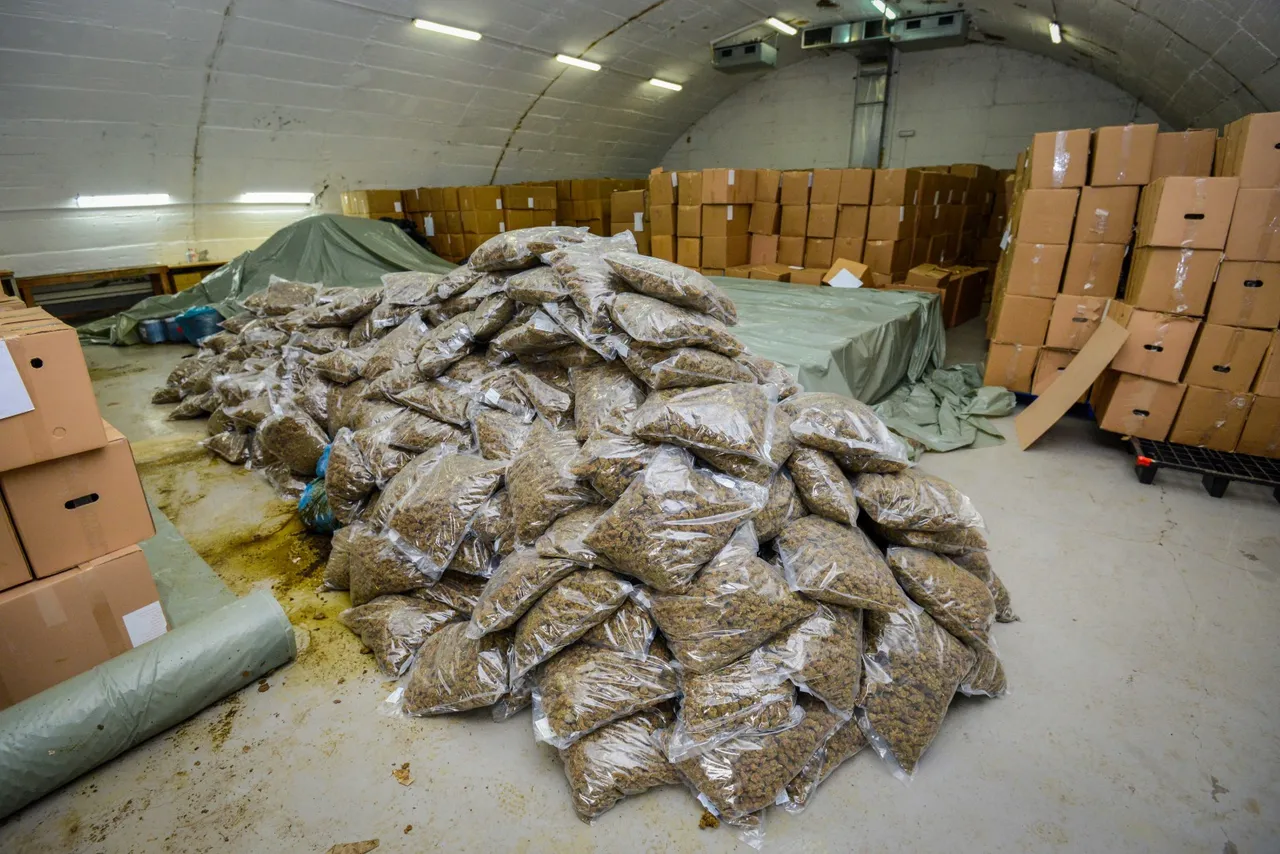 Oбвинителството истражува шест лица за шверц на 8 тони марихуана во Србија