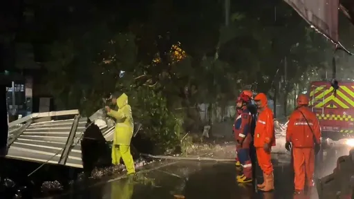 Hujan dan angin kencang robohkan pohon serta atap rumah di Swasembada Jakut