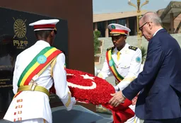 Equal partnership in Türkiye-Ethiopia relations and cooperation in regional crises