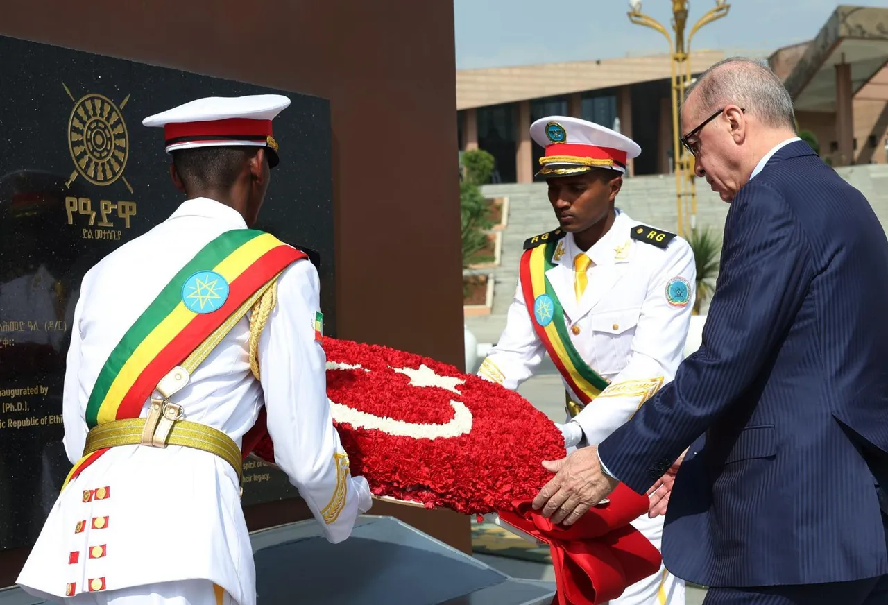 Equal partnership in Türkiye-Ethiopia relations and cooperation in regional crises