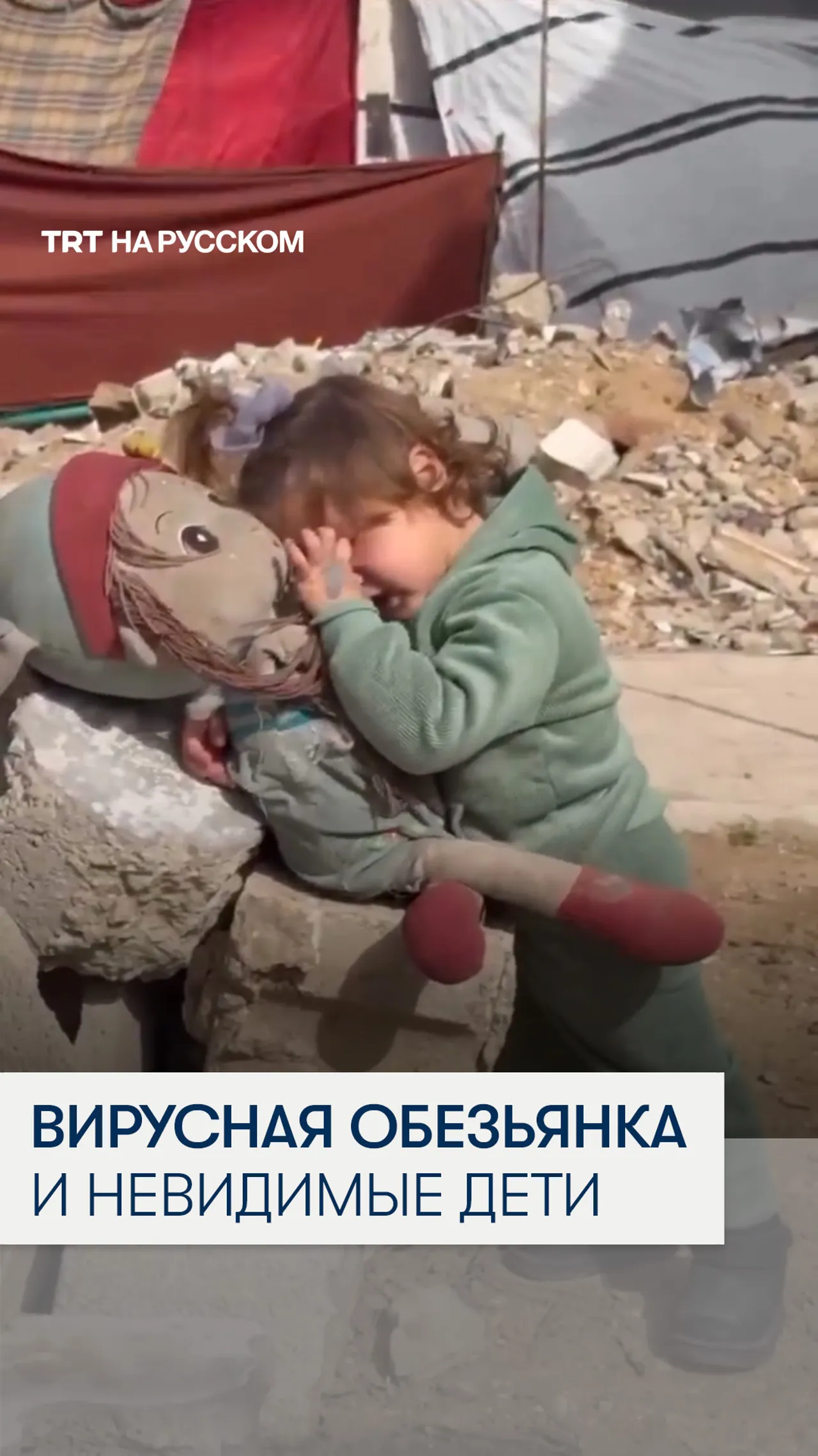 Пока мир жалеет обезьянку, дети Газы остаются незамеченными