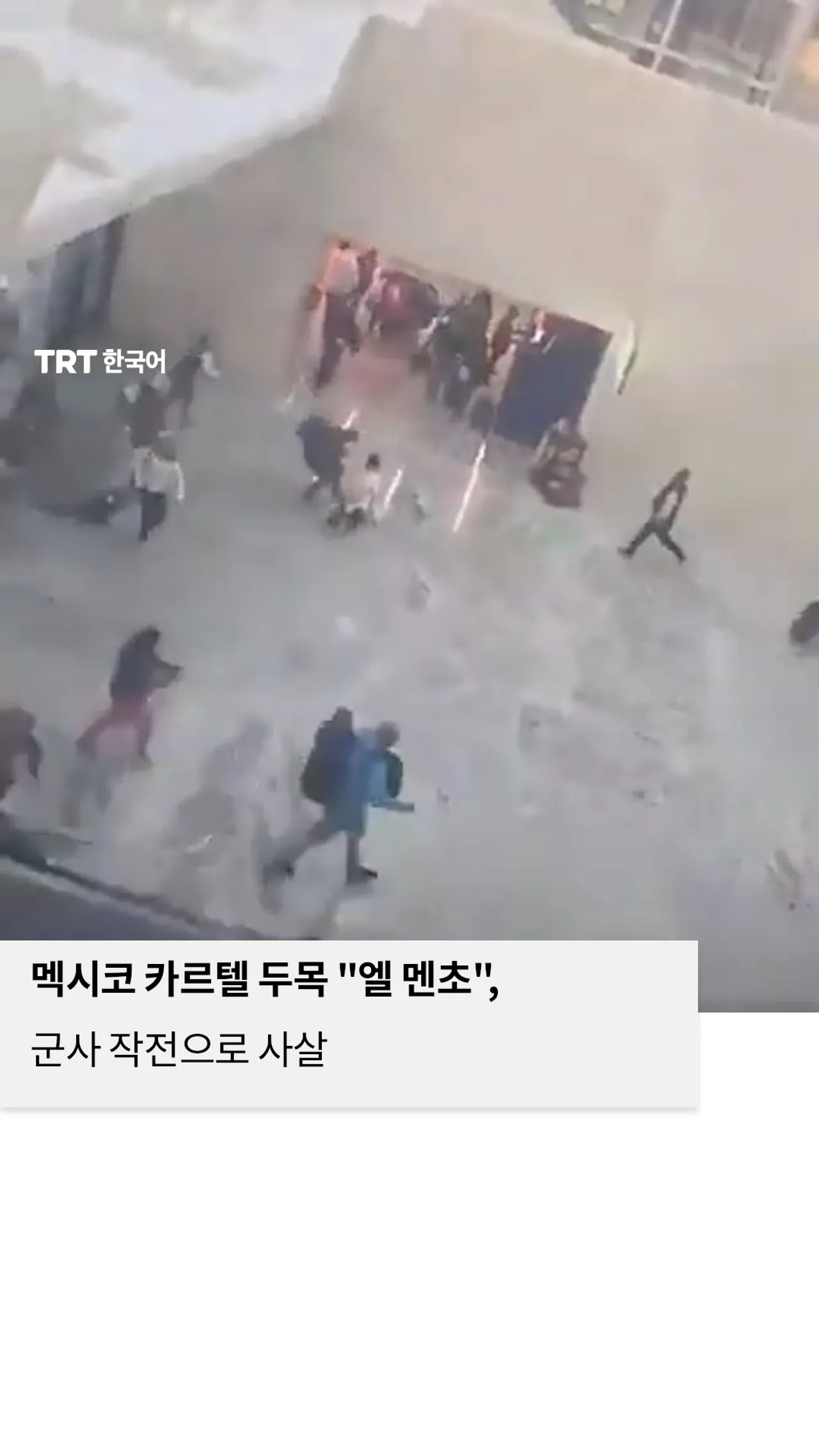 멕시코 카르텔 두목 "엘 멘초",군사 작전으로 사살