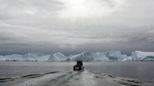 Трамп шлет «больничное судно» — Дания смеется