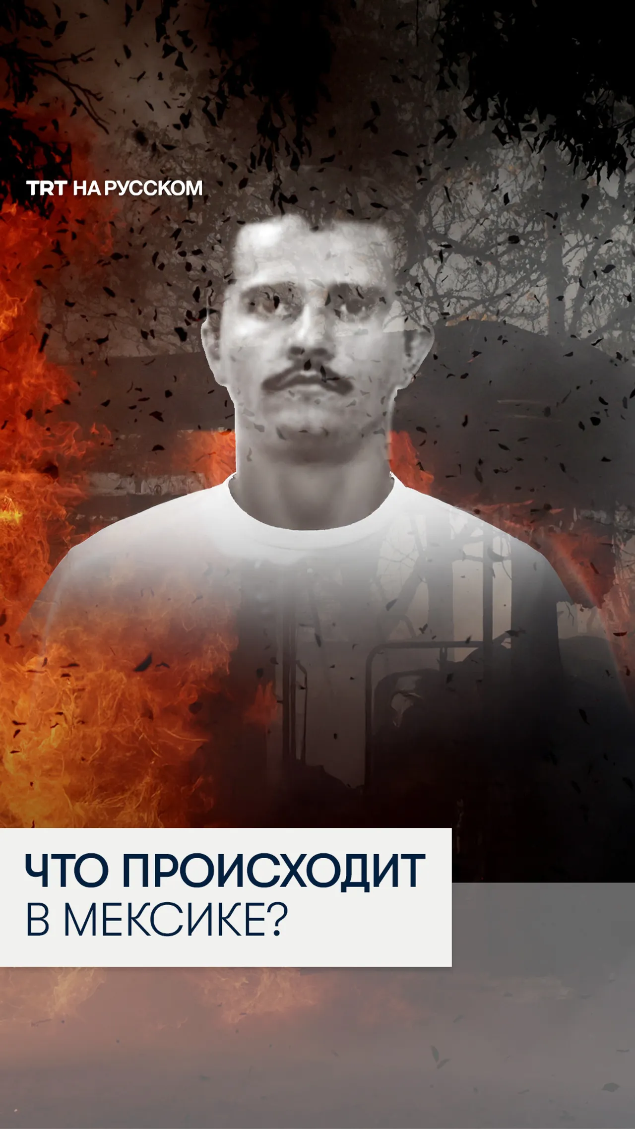 Мексика в огне: беспорядки в стране после устранения лидера картеля