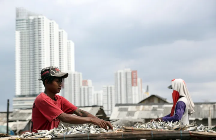 Indonesia perluas akses ekspor seafood ke Türkiye dan China