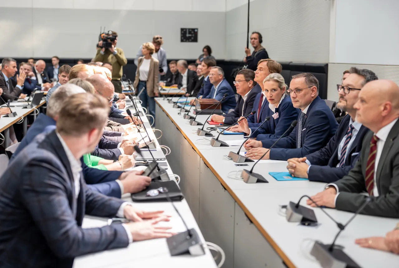 AfD-Verwandtenaffäre: Baumann offen für Gesetzesverschärfung