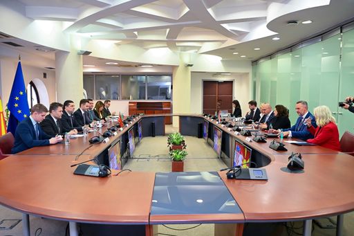 Radman  Maqedonia e Veriut e meriton anëtarësimin në BE shumë shpejt