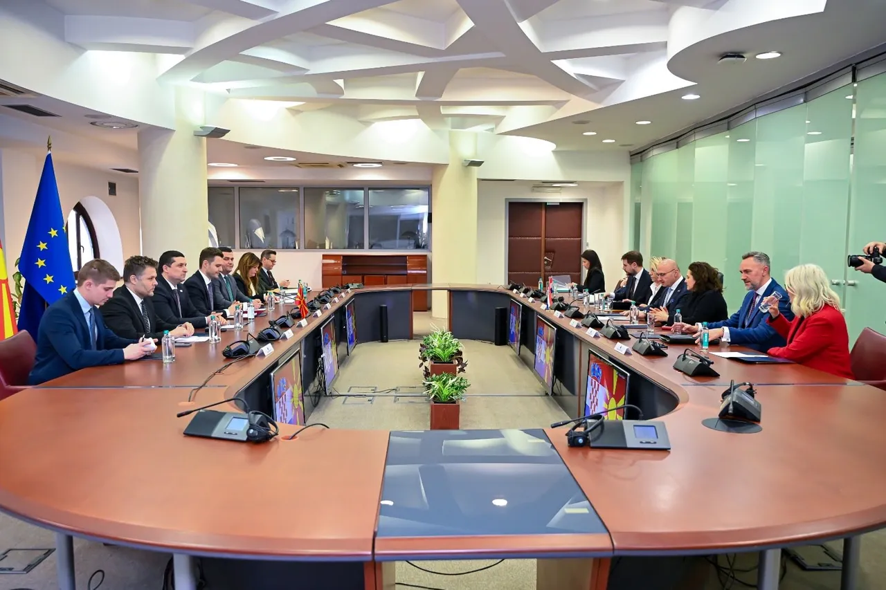 Radman: Maqedonia e Veriut e meriton anëtarësimin në BE shumë shpejt